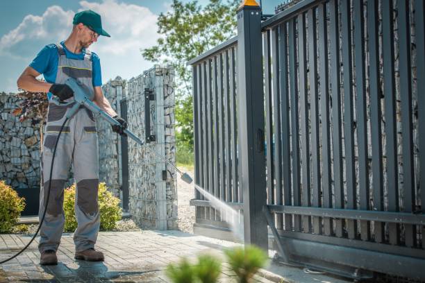 Best Soft Washing for Delicate Surfaces in Shenandoah, IA